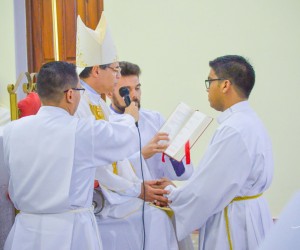 Ordenação Pedro Navarro