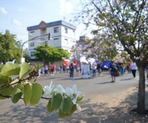 13ª Jornada Diocesana da Juventude